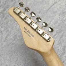 SCHECTER OL-PT-CTM-BPG/R_11