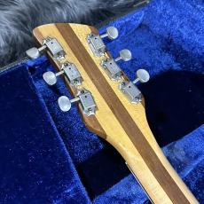 Rickenbacker 381 1969年製_8