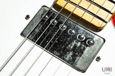 ESP RON WOOD SIGNATURE_5