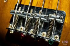 Fender Jazz Bass / 1981_5