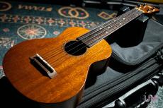 T's CS-100 / 2010