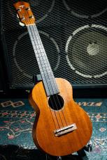 T's CS-100 / 2010_3