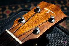 T's CS-100 / 2010_5
