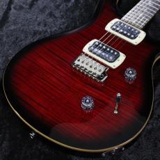 Paul Reed Smith [PRS] 【3.35kg】SE Custom 24 -Fire Red Burst- #CTI H082760 【2025年製】【分割手数料無料】_3