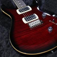 Paul Reed Smith [PRS] 【3.35kg】SE Custom 24 -Fire Red Burst- #CTI H082760 【2025年製】【分割手数料無料】_9