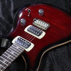 Paul Reed Smith [PRS] 【3.35kg】SE Custom 24 -Fire Red Burst- #CTI H082760 【2025年製】【分割手数料無料】_10