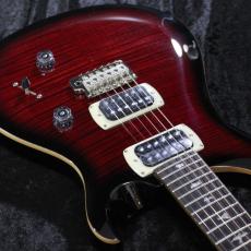 Paul Reed Smith [PRS] 【3.35kg】SE Custom 24 -Fire Red Burst- #CTI H082760 【2025年製】【分割手数料無料】_11