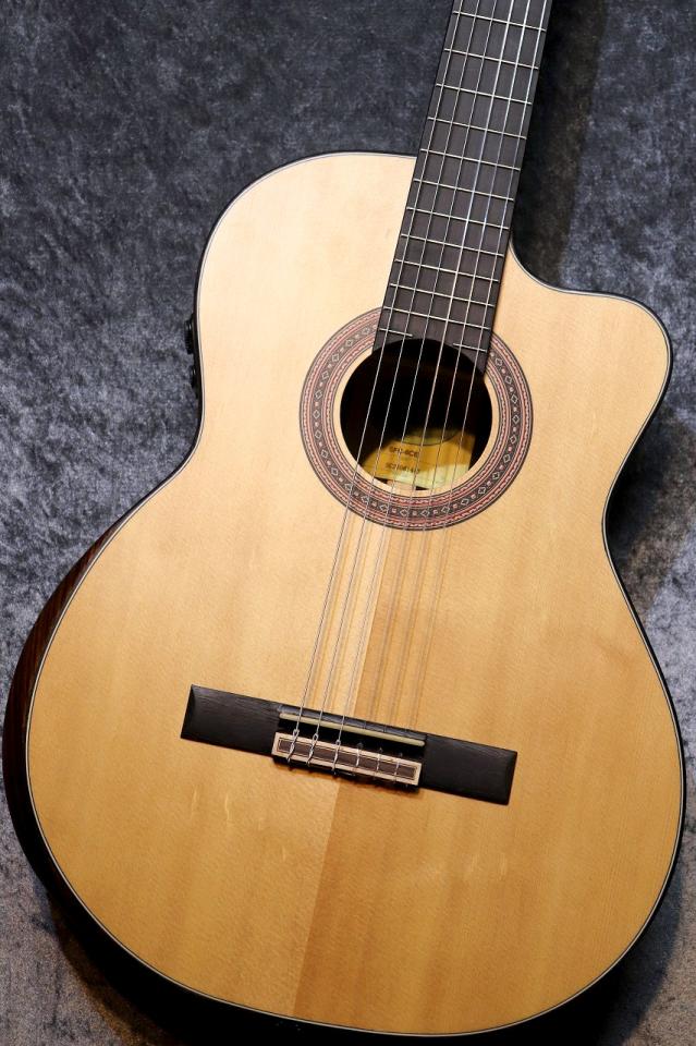 stafford bossa-nova spruce エレガット (管理カテ) stafford bossa-nova spruce エレガット (管理カテ)