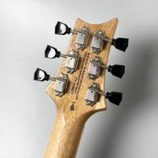 Paul Reed Smith [PRS] SE ZACH MYERS Myers Blue_11