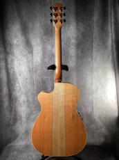 Maton PERFORMER_5