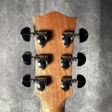 Maton PERFORMER_6