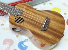 PICKAPICK M2 Concert