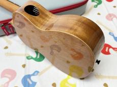PICKAPICK M2 Concert_8
