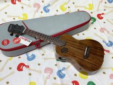 PICKAPICK K2 Concert_2