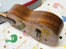 PICKAPICK K2 Concert_4