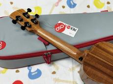 PICKAPICK K2 Concert_8