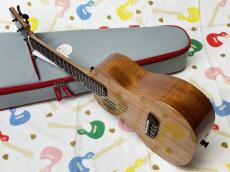 PICKAPICK  M3 Concert _6