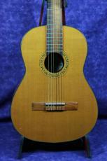 Giannini 2000年頃_2