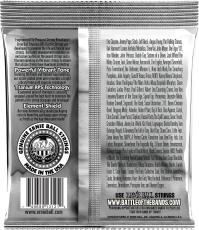 ERNIE BALL COATED TITANIUM RPS REGULAR SLINKY #3121【10-46/エレキギター弦】_2