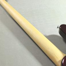 FUJIGEN JMJ2-AL-R/AZM #D250250 【4.34 kg】_8
