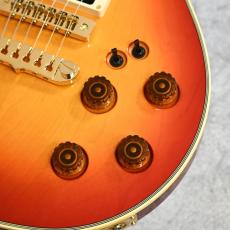 Aria Pro II 【USED】 PE-R100 FR [4.16kg][2023年製][日本製]_3