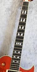 Aria Pro II 【USED】 PE-R100 FR [4.16kg][2023年製][日本製]_5