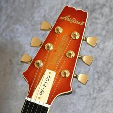 Aria Pro II 【USED】 PE-R100 FR [4.16kg][2023年製][日本製]_6