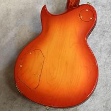 Aria Pro II 【USED】 PE-R100 FR [4.16kg][2023年製][日本製]_7