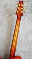 Aria Pro II 【USED】 PE-R100 FR [4.16kg][2023年製][日本製]_8