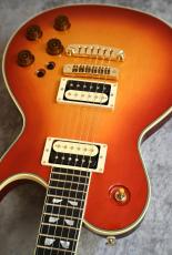 Aria Pro II 【USED】 PE-R100 FR [4.16kg][2023年製][日本製]_9