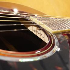 YAMAHA LS6 ARE BS_6
