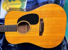 Martin D-18 _2