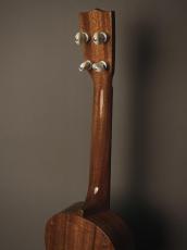 tkitki ukulele ECO-C++ W.HawaiianKoa/Custom Model【S/N1739】_16
