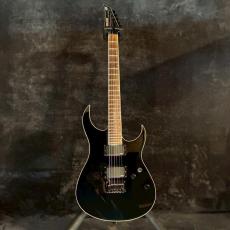 FERNANDES FGZ-DXL JPC Black 【3.44㎏】_3