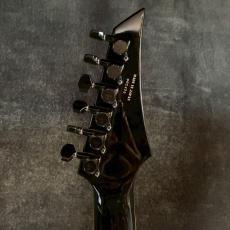 FERNANDES FGZ-DXL JPC Black 【3.44㎏】_7