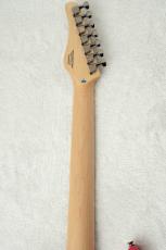 SCHECTER BC-AveMujica/Mortis #WI26020432 【Ave Mujica】【若葉 睦 "モーティス" 】_9