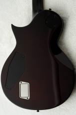 E-II EC FM FT FL -Tobacco Sunburst-_9