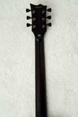 E-II EC FM FT FL -Tobacco Sunburst-_10