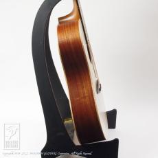 TODA Guitars SD_5