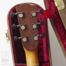 TODA Guitars SD_7