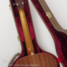 TODA Guitars SD_9