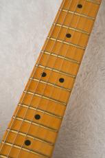 Fender AM PRO CLASSIC TELECASTER Butterscotch Blonde / BTB 【アメプロクラシック】 【王道テレキャスター】_7