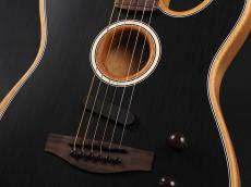 Fender Acoustasonic Player Telecaster Rosewood Fingerboard ~Brushed Black~_5