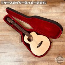 Misc. Semi Hard Case for Classic_6