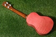 Peerless PUK-C FM PT 桜 Concert_4
