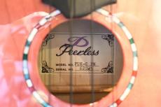 Peerless PUK-C FM PT 桜 Concert_16
