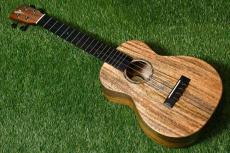 DCT KOKOMO-8 Tenor_3