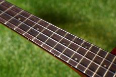 Argus AC-5 Concert_7