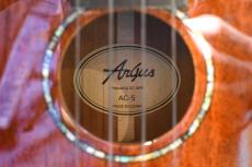 Argus AC-5 Concert_16
