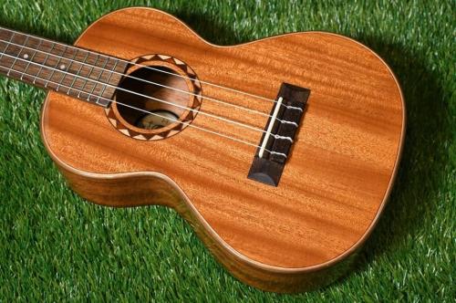 DCT DUT-600M Tenor